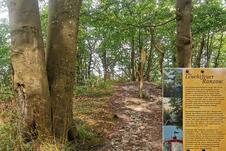 Nationalpark Jasmund Wanderung – Infotafel