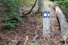 Nationalpark Jasmund Wanderung – Orientierungspunkt 1