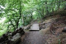Nationalpark Jasmund Wanderung – Holzbrücke