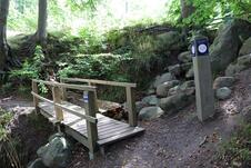 Nationalpark Jasmund Wanderung – Orientierungspunkt 15