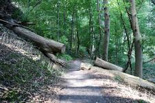 Nationalpark Jasmund Wanderung – Weg