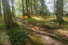 Nationalpark Jasmund Wanderung – Wegkennzeichnung