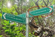 Nationalpark Jasmund Wanderung – Wegweiser