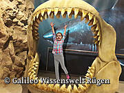 Galileo Wissenswelt Rügen / Prora - Megalodon