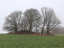 Grabhügel bei Nistelitz