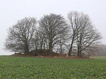 Grabhügel bei Nistelitz