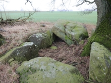 Großsteingrab bei Nadelitz