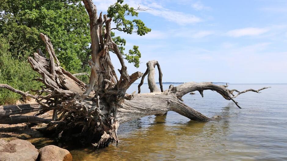 Lauterbach / Rügen - Pfad der Muße und Erkenntnis: Bodden