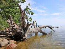 Lauterbach / Rügen - Pfad der Muße und Erkenntnis: Bodden