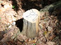 Lauterbach / Rügen - Pfad der Muße und Erkenntnis: Stein