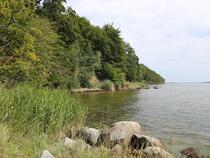 Lauterbach / Rügen - Pfad der Muße und Erkenntnis: Stein