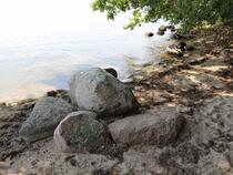 Lauterbach / Rügen - Pfad der Muße und Erkenntnis: Stein