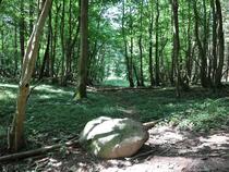 Lauterbach / Rügen - Pfad der Muße und Erkenntnis: Stein