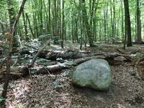 Lauterbach / Rügen - Pfad der Muße und Erkenntnis: Stein