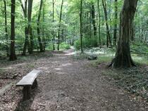 Lauterbach / Rügen - Pfad der Muße und Erkenntnis: Stein