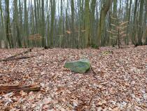 Lauterbach / Rügen - Pfad der Muße und Erkenntnis: Stein