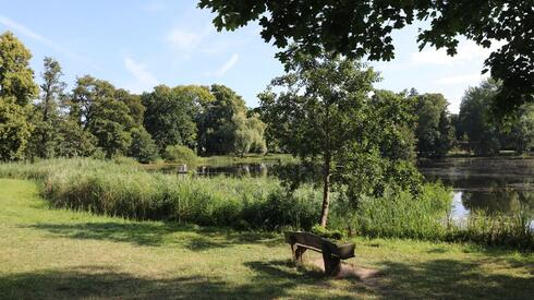 Schlosspark zu Putbus: Schwanenteich
