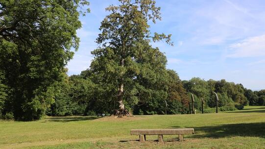Schlosspark zu Putbus