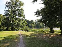Schlosspark zu Putbus: Schwanenteich