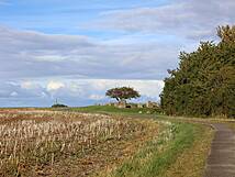 Großsteingrab Nobbin - Weg zum Großsteingrab