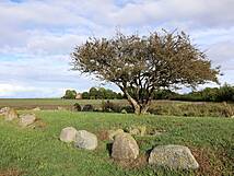 Großsteingrab Nobbin