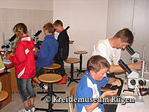 Kreidemuseum Rügen - Mikroskopieren