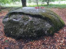 Opferstein von Quoltitz / Rügen