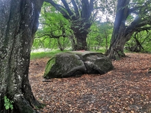 Opferstein von Quoltitz / Insel Rügen