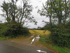 Opferstein von Quoltitz / Rügen - Wiese