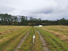 Opferstein von Quoltitz / Rügen - Wiese