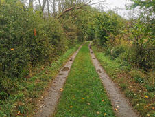 Opferstein von Quoltitz / Rügen - Weg