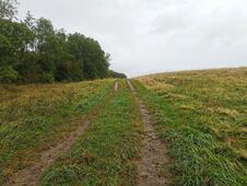 Opferstein von Quoltitz / Rügen - Wiese