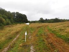 Opferstein von Quoltitz / Rügen - Wiesenweg