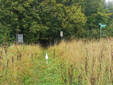 Opferstein von Quoltitz / Rügen - Infotafel