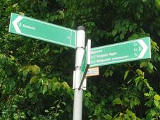 Opferstein von Quoltitz / Rügen - Wegweiser