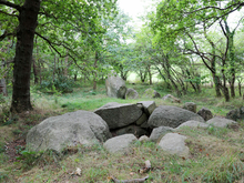 Großdolmen Dwasieden / Rügen