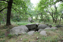 Großdolmen Dwasieden / Rügen