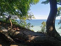 Rügen, Hochuferweg Sassnitz - Königsstuhl: Ostsee