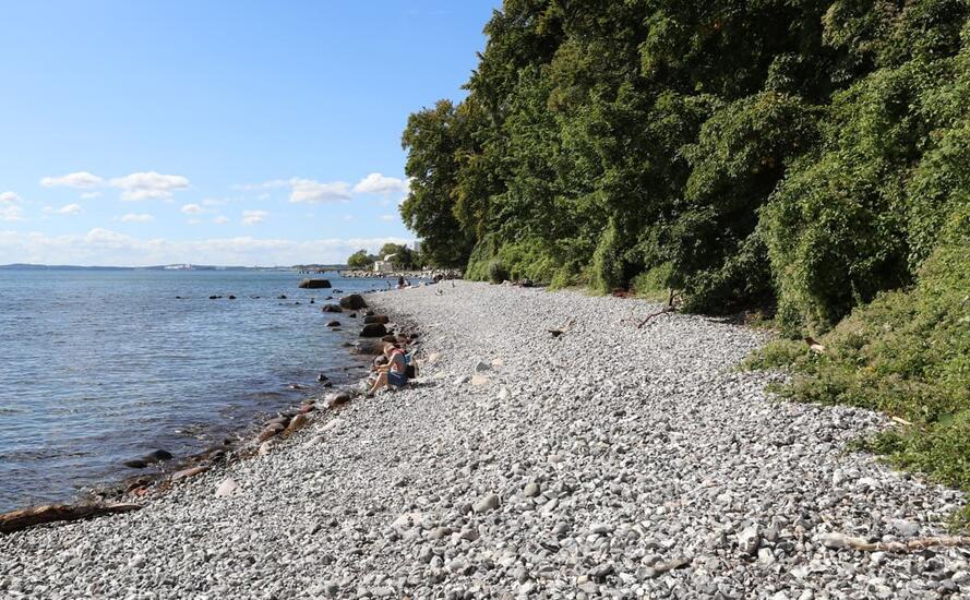 Kreidekueste Sassnitz / Rügen - 