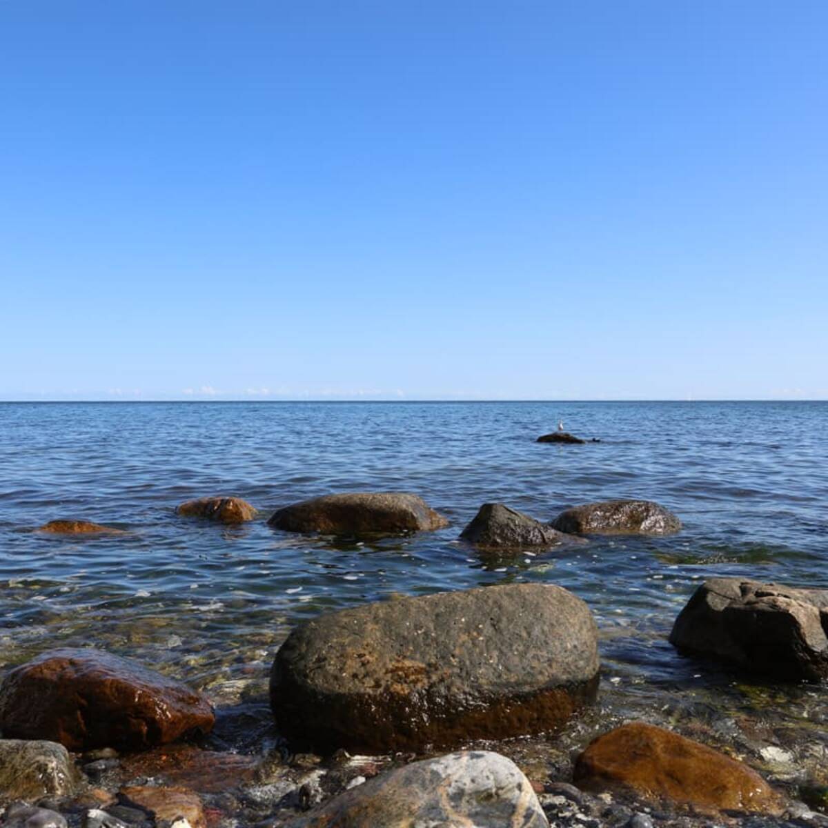 Kreidekueste Sassnitz / Rügen