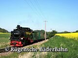 Rügensche BäderBahn »Rasender Roland« – Barrierefreiheit