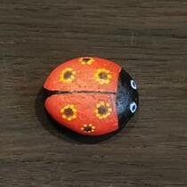 ausgelegtes Steinchen