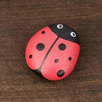 ausgelegtes Steinchen