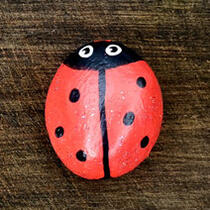 ausgelegtes Steinchen