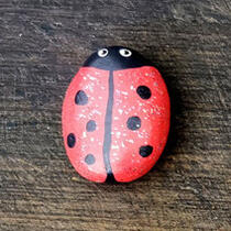 ausgelegtes Steinchen