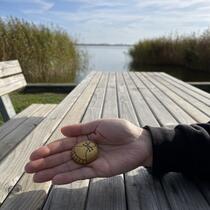 gemeldetes Steinchen