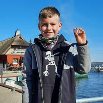 gemeldetes Steinchen