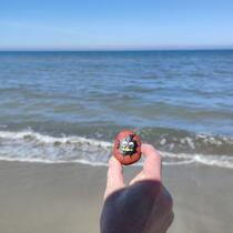 gemeldetes Steinchen