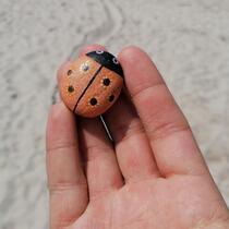 gemeldetes Steinchen