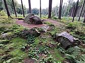 Everstorfer Forst Nördliches Gräberfeld – Urdolmen